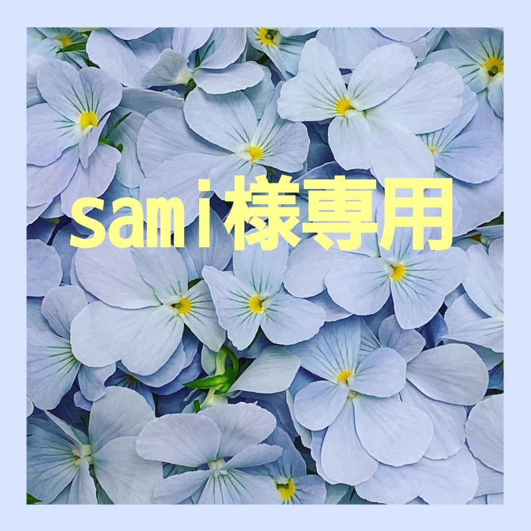 Sami様専用❗️ - 置物