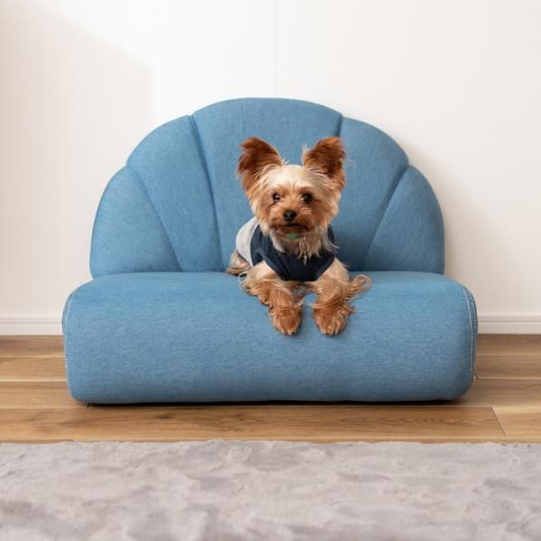 リビング azm-pet-65