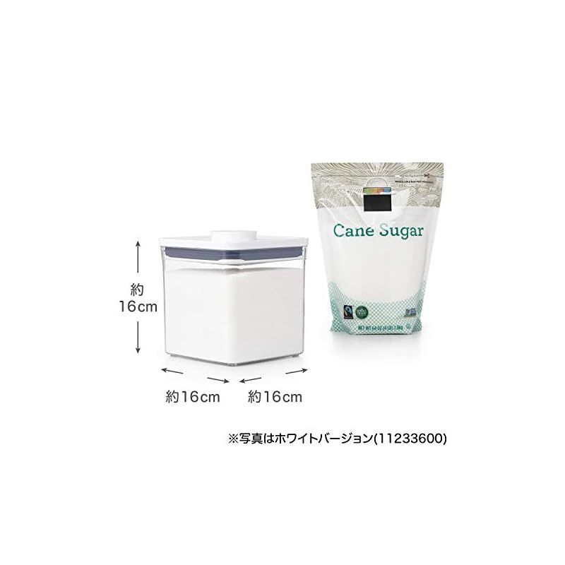 オクソー 保存容器 OXO プラスチック 密閉 2.6L ステンレス ポップコンテナ ビッグスクエア ショート 0