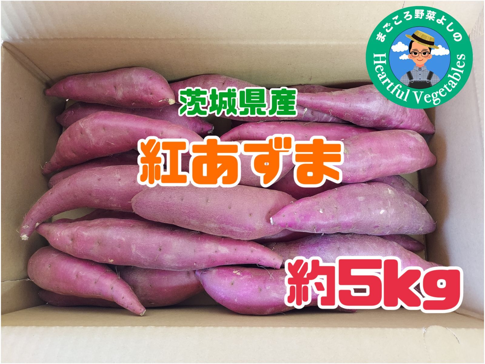 茨城県産　さつまいも【紅あずま】　メルカリ　まごころ野菜　約5kg　☆井上サツマ☆　よしの