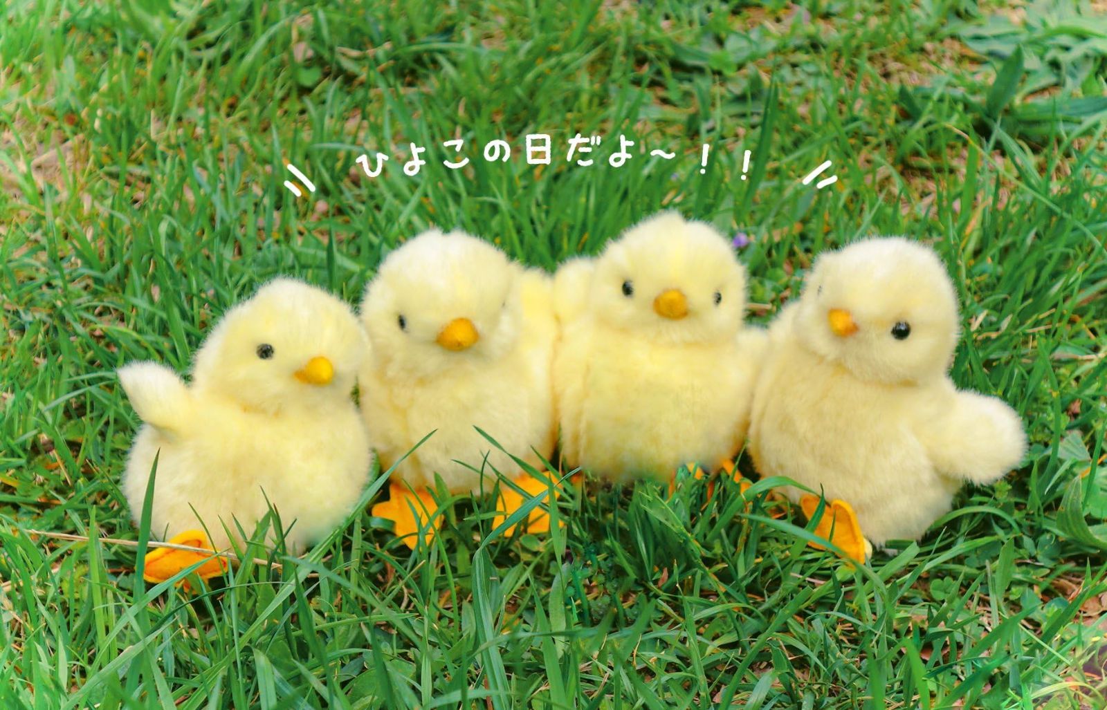 (未使用･未開封品)　りくのなかまたち ぬいぐるみ ひよこ 180444 p1m72rm 吉徳 りくのなかまたち ぬいぐるみ ひよこ 180444 : GOOD ZERO