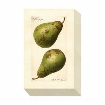 ミニパネル Pear アートパネル ZAP-53702