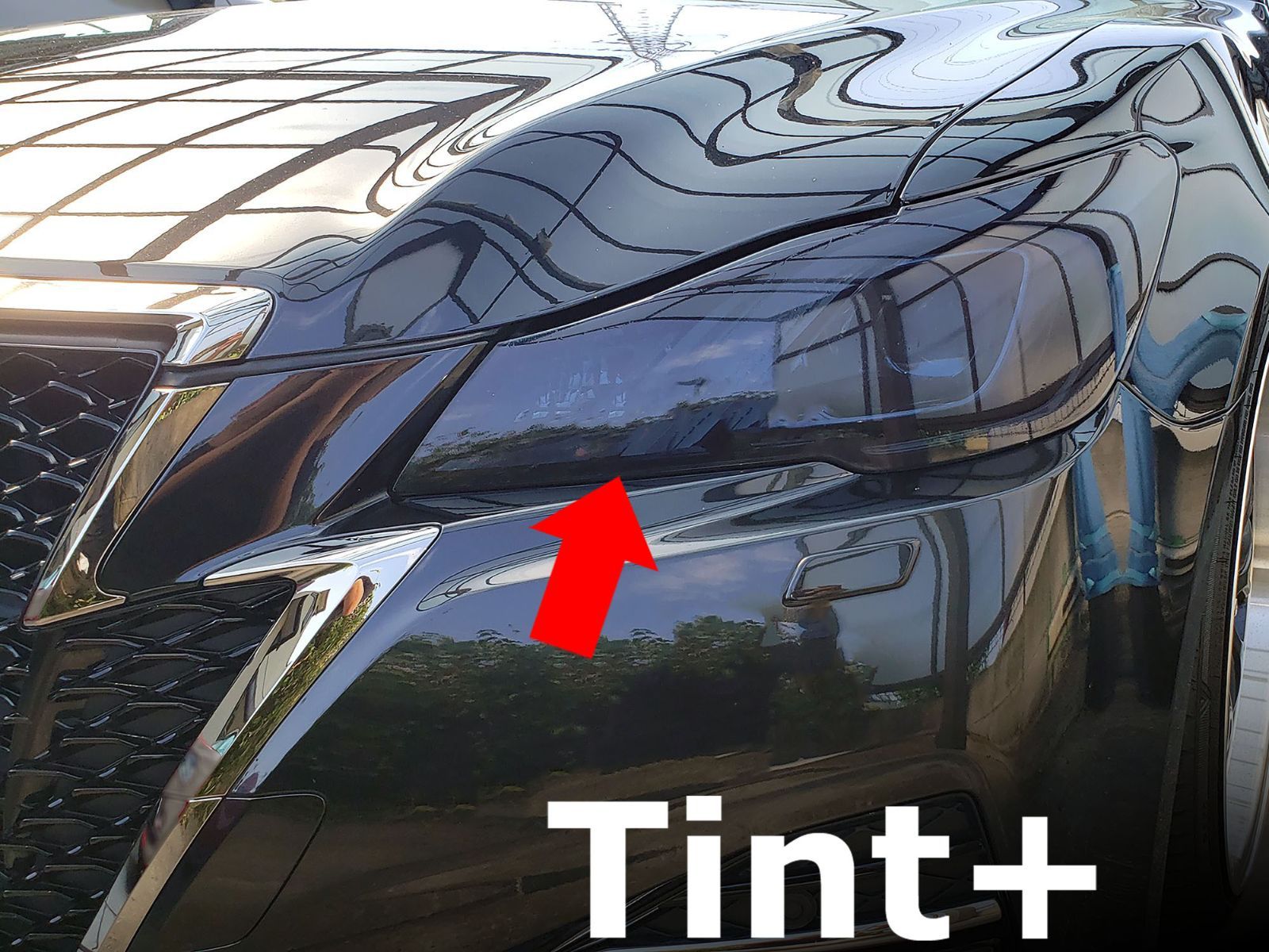 Tint+ 再利用できる テールランプ スモークフィルム レクサスSC430 UZZ40 (Type2：後期用) Tint+再利用できる テールランプ スモークフィルム レクサスGS L10系