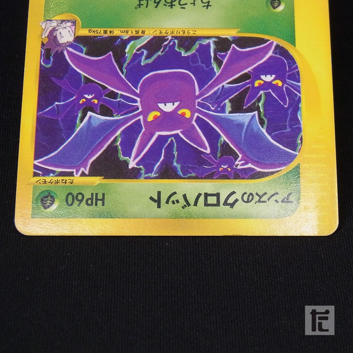 ポケモンカードe VS 5枚 まとめ売り アンズのクロバット ツクシ
