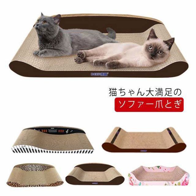 キャット