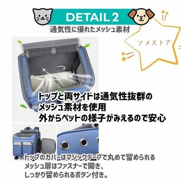 小型犬