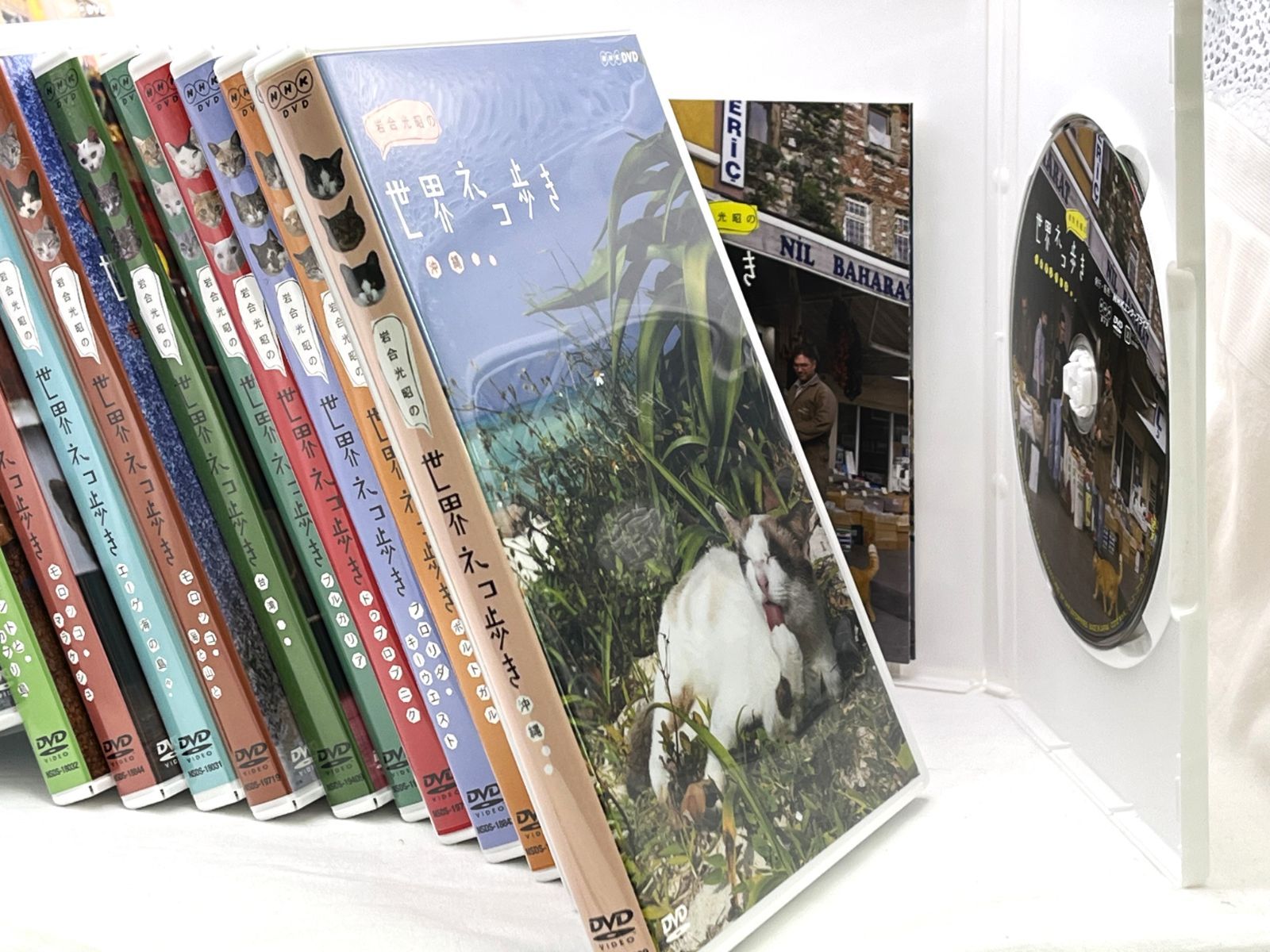 ウェイド陶器ウィムジー on Why Windmill Ireland #16 ウェイド陶器ウィムジー on Why Windmill Ireland #16