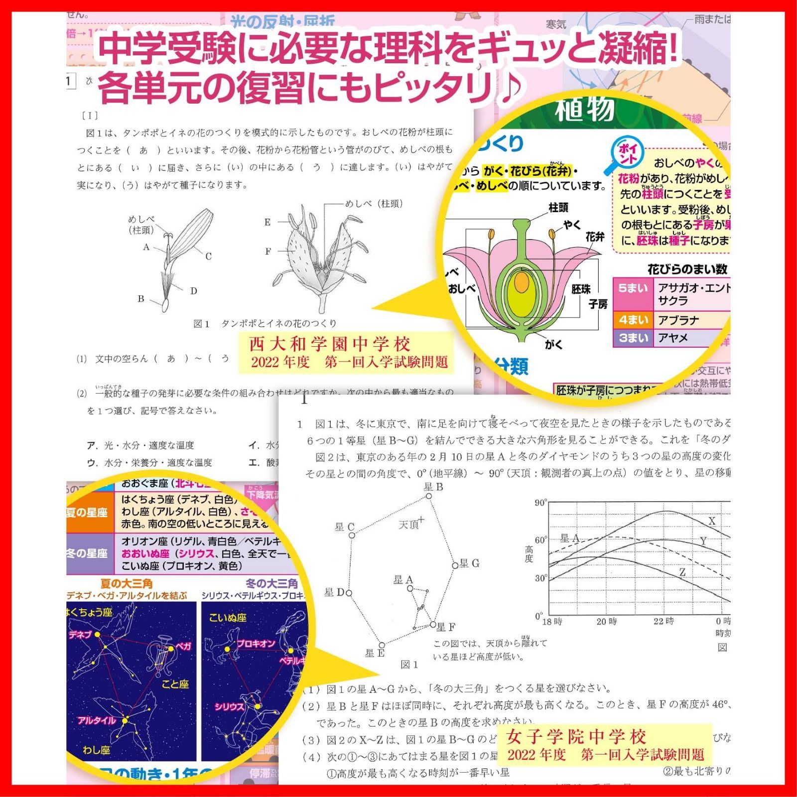 在庫処分】お風呂の学校 中学受験マスターどこでも理科 お風呂ポスター