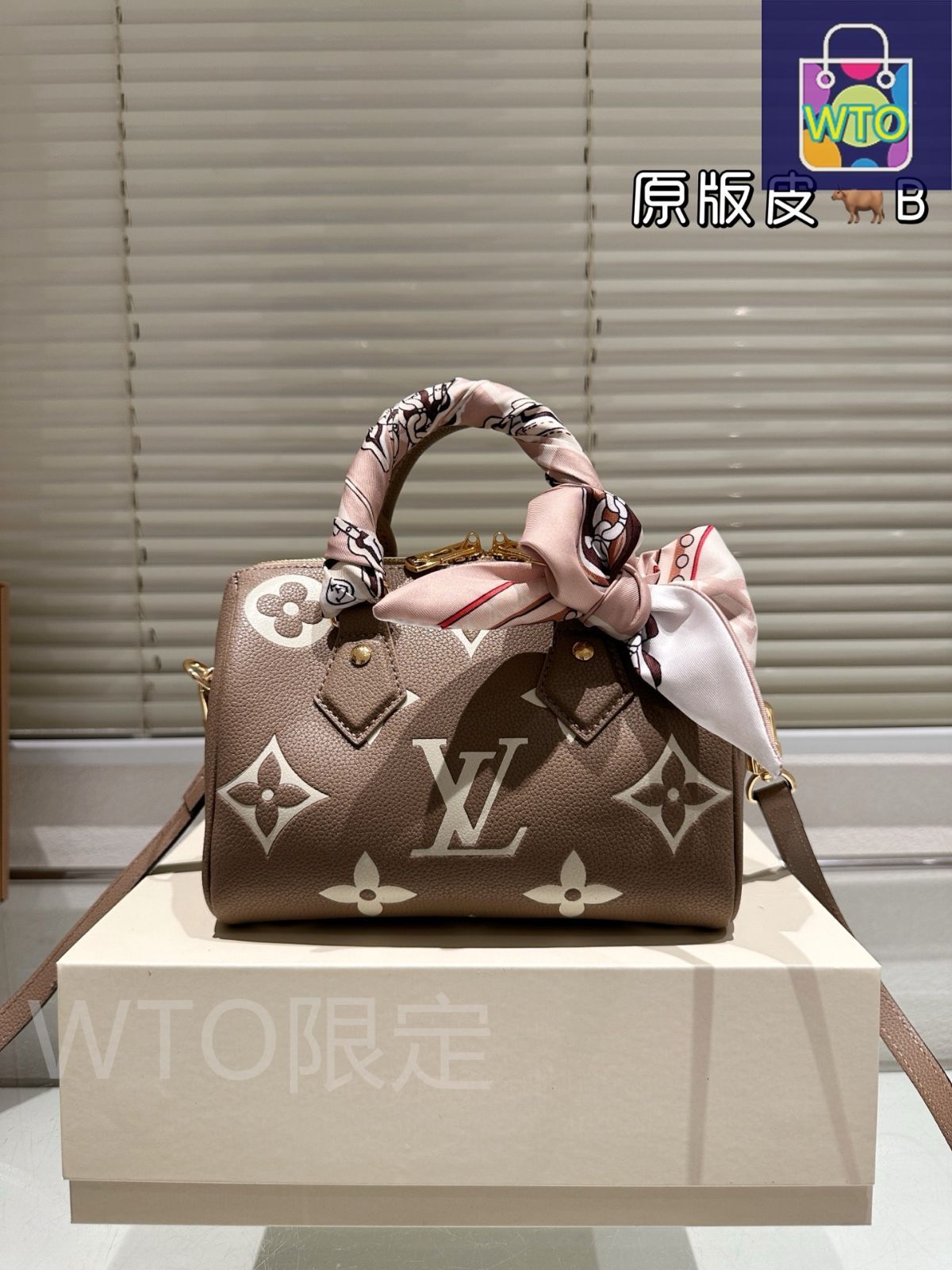 今日 Louis Vuitton Speedy 20 Pillow Bag - ルイ ヴィトン スピーディ 20 ピローバッグ