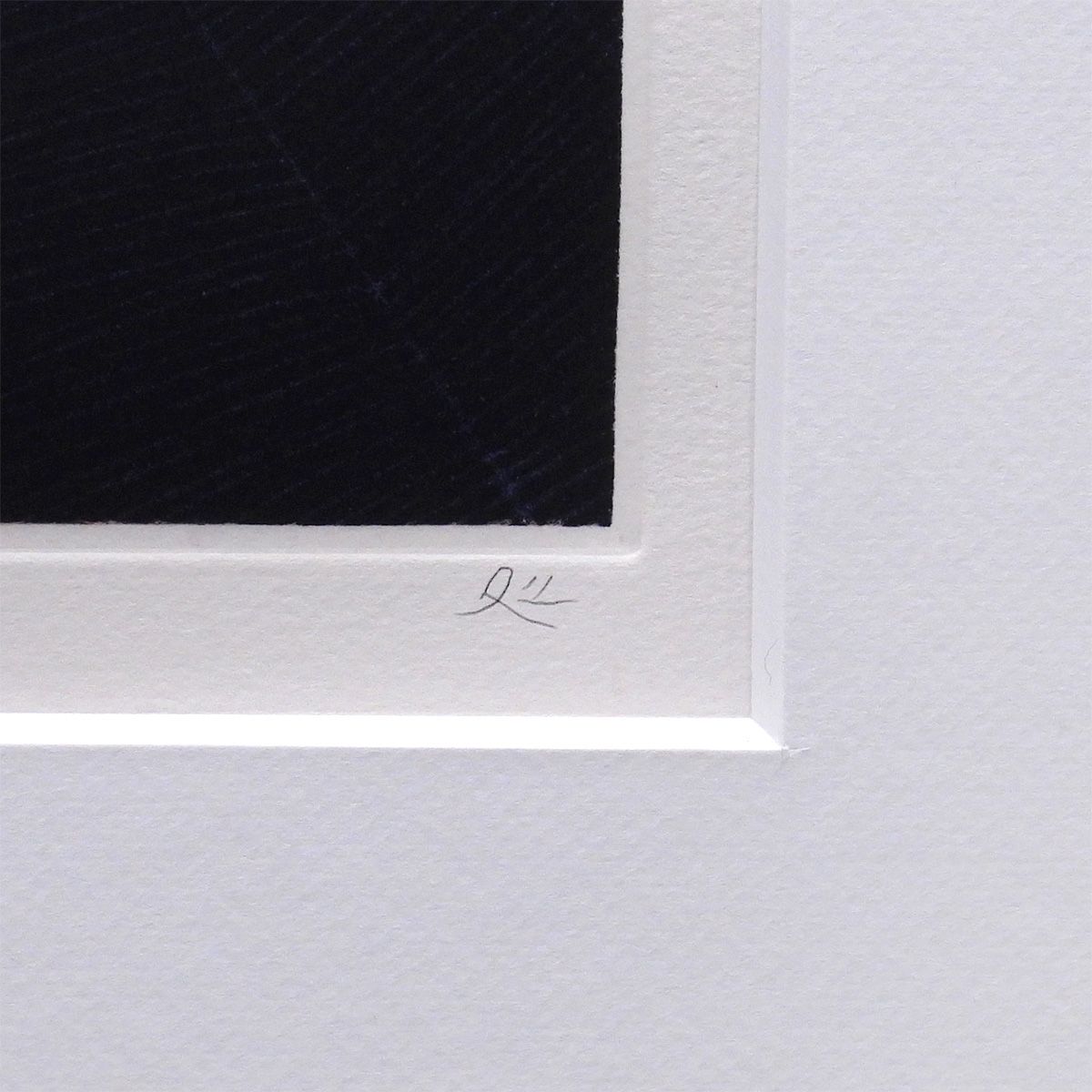 最終値下げ 加山又造 蝶 動物画 作家直筆サイン 昆虫 クモ 蜘蛛