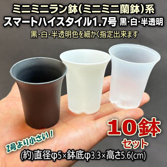 ☆平日＊日中注文即日発送-ミニミニ蘭鉢/ミニミニラン鉢