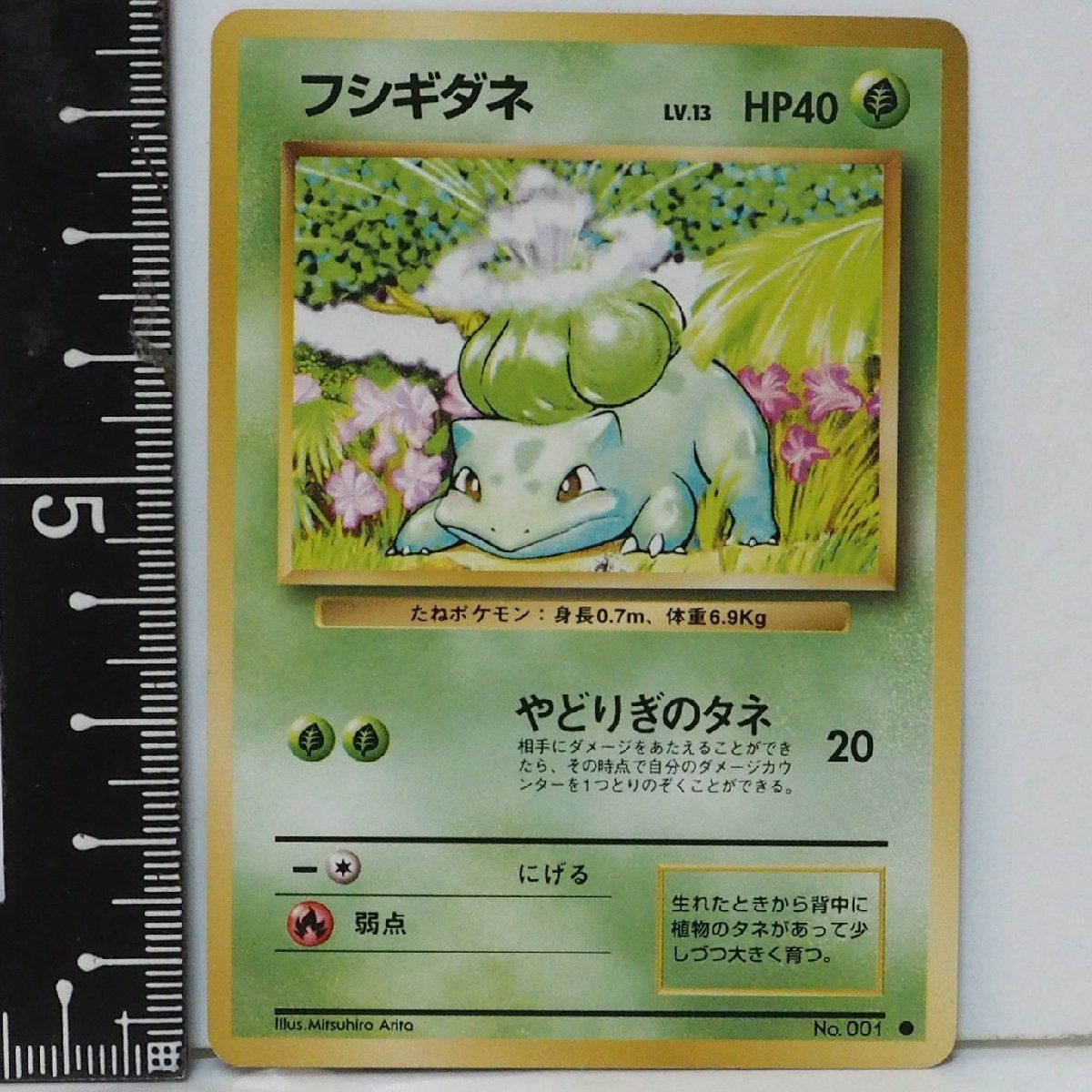 旧裏ポケモン カードゲーム 第1弾【フシギダネ LV.13 HP40】草No.001 