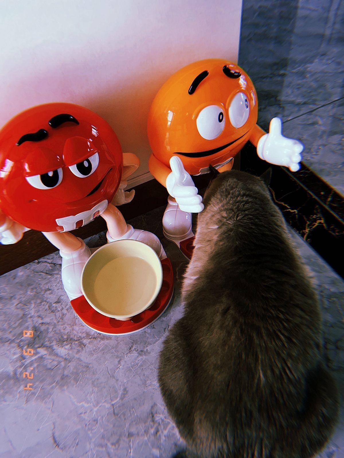 ペット用品 ディスペンサー m&m's エムアンドエムズ 置物