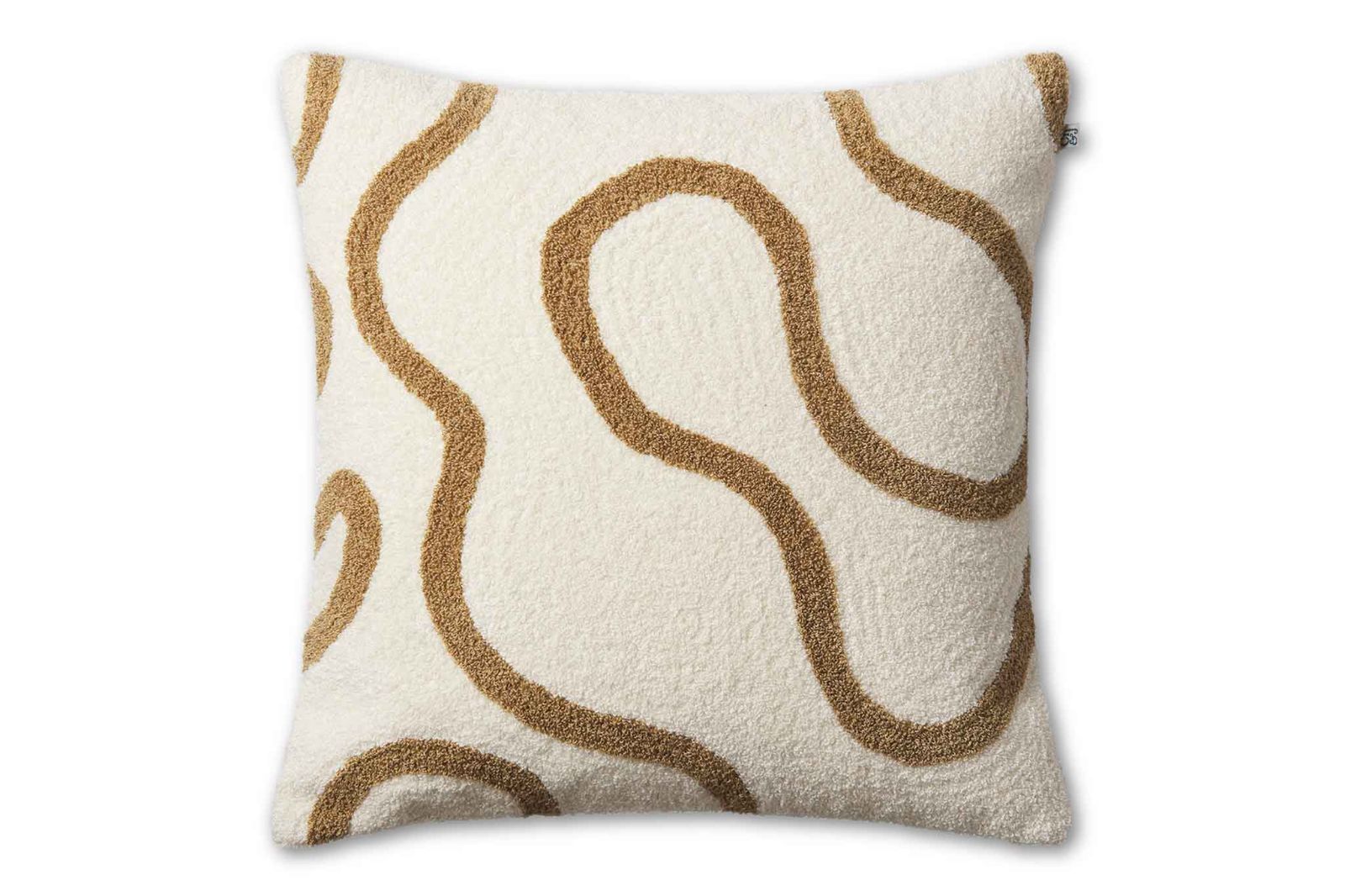 樋原敬之 アイルランド音楽紀行 特別編