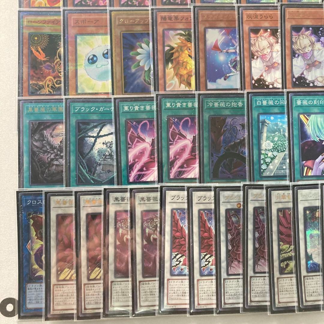 本格構築 【アロマローズドラゴン】デッキ メイン＆EX15枚＆スリーブ 本格構築 【アロマローズドラゴン】デッキ メイン＆EX15枚