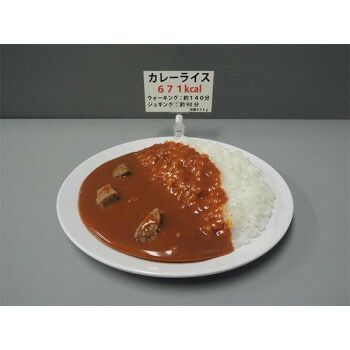 カレーライス IP-545