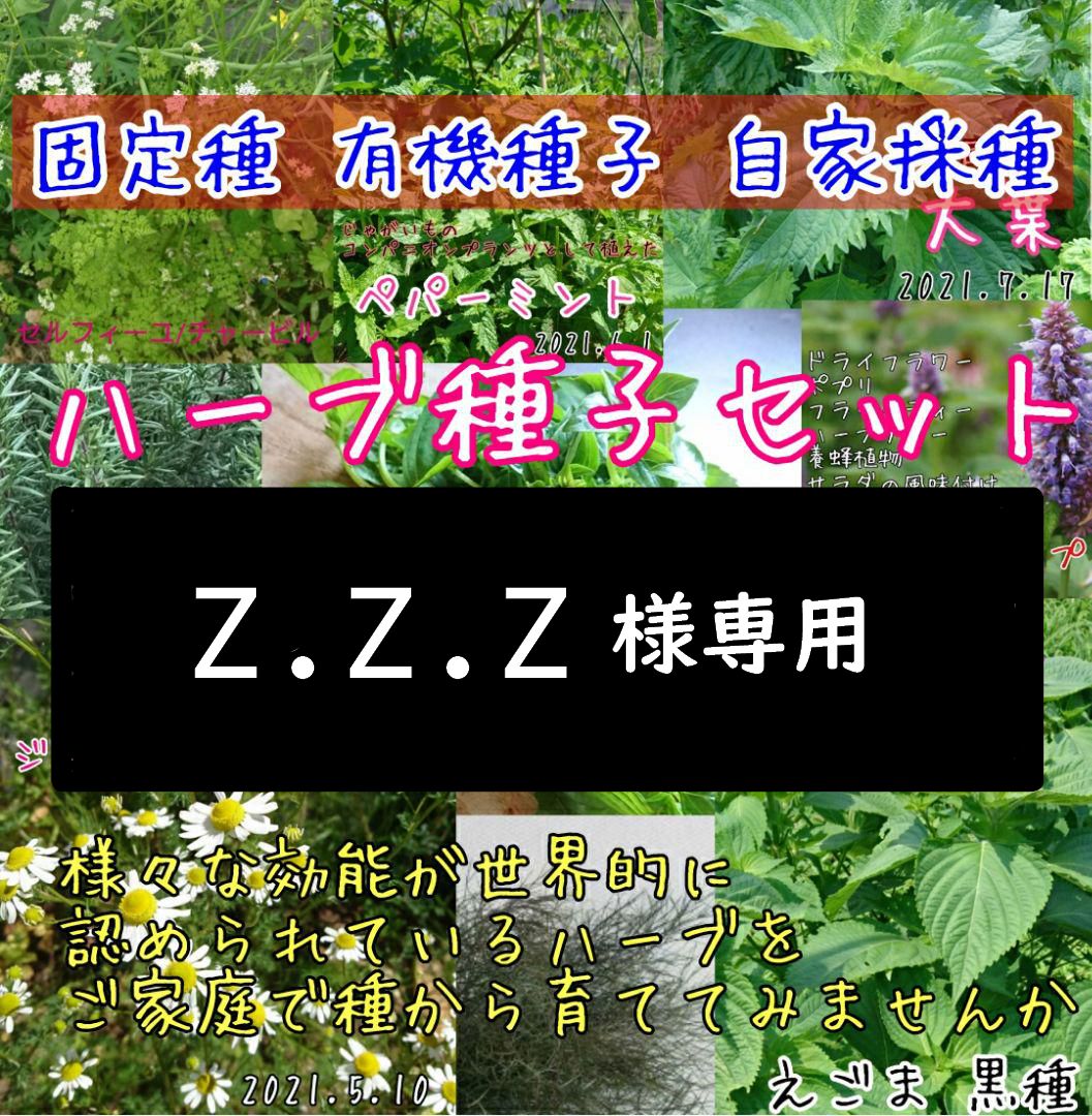 Z.Z.Z様専用 - メルカリ