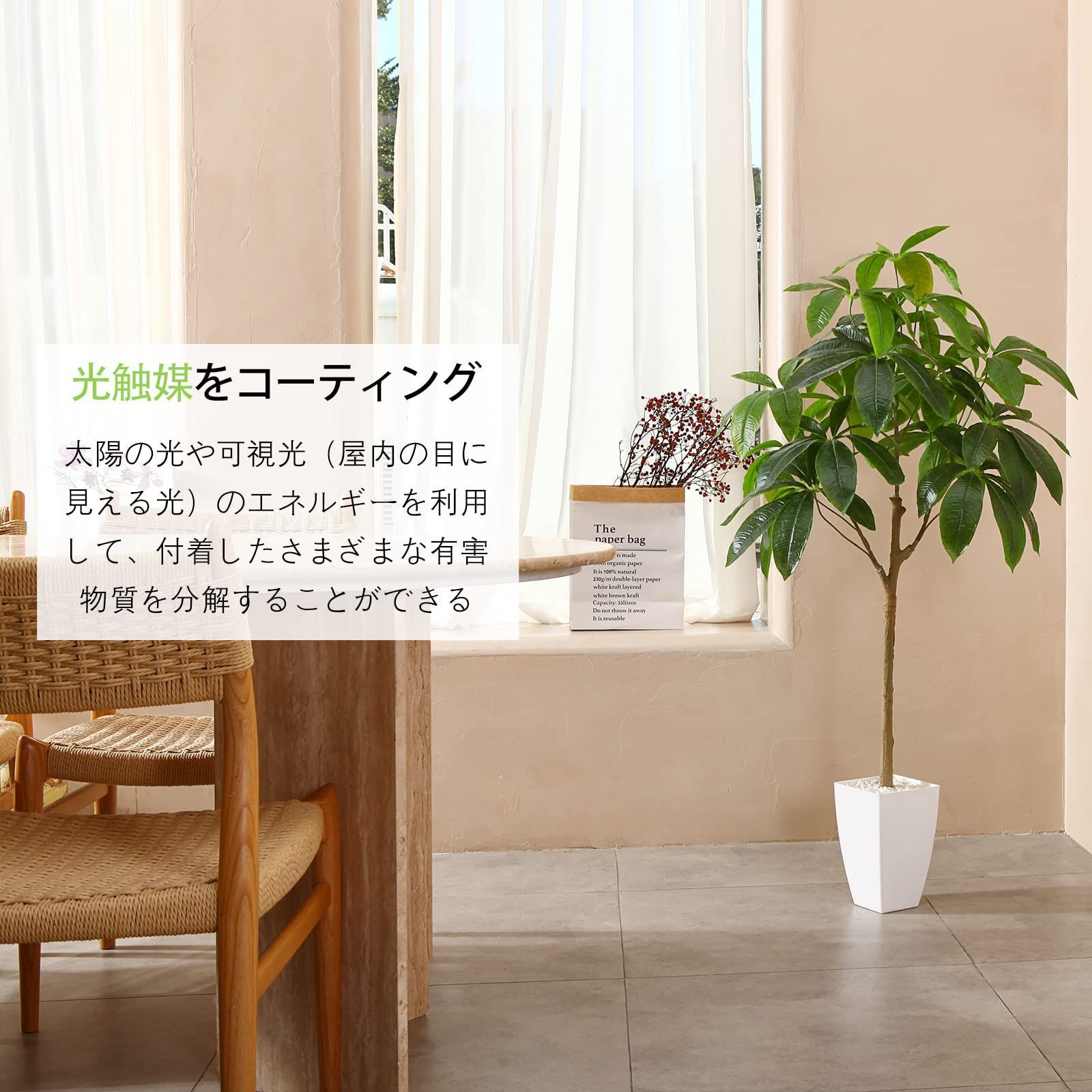 奥行65cm 鉢は取り外し不可