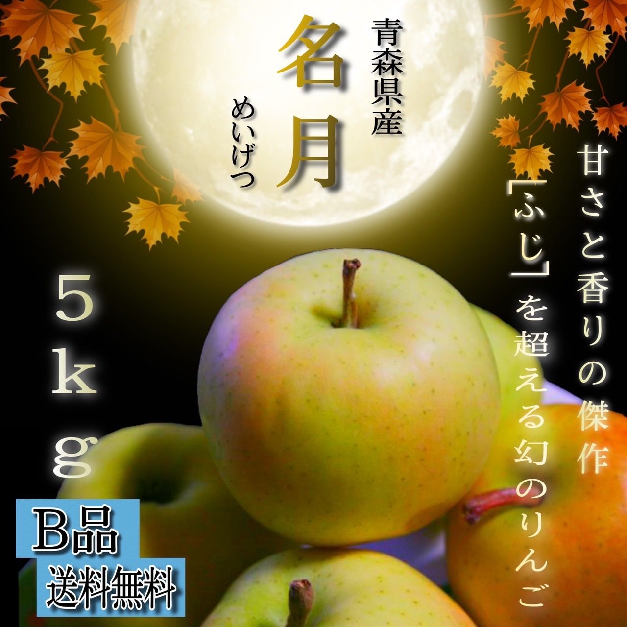 青森県産 ぐんま名月 りんご【B品5kg】【送料無料】【農家直送】リンゴ-0
