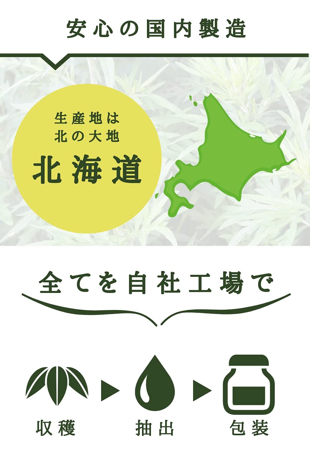 クマ笹