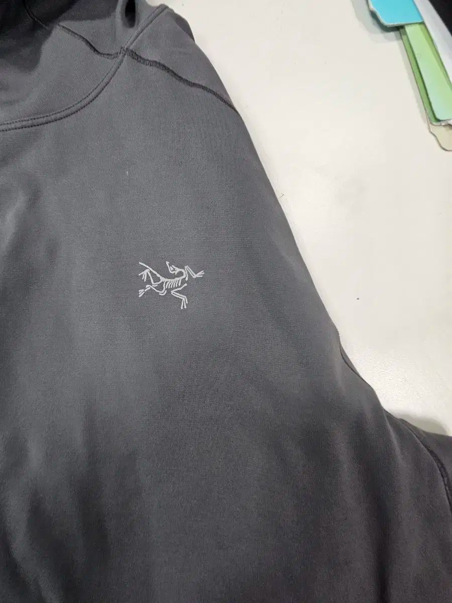 鼻腔