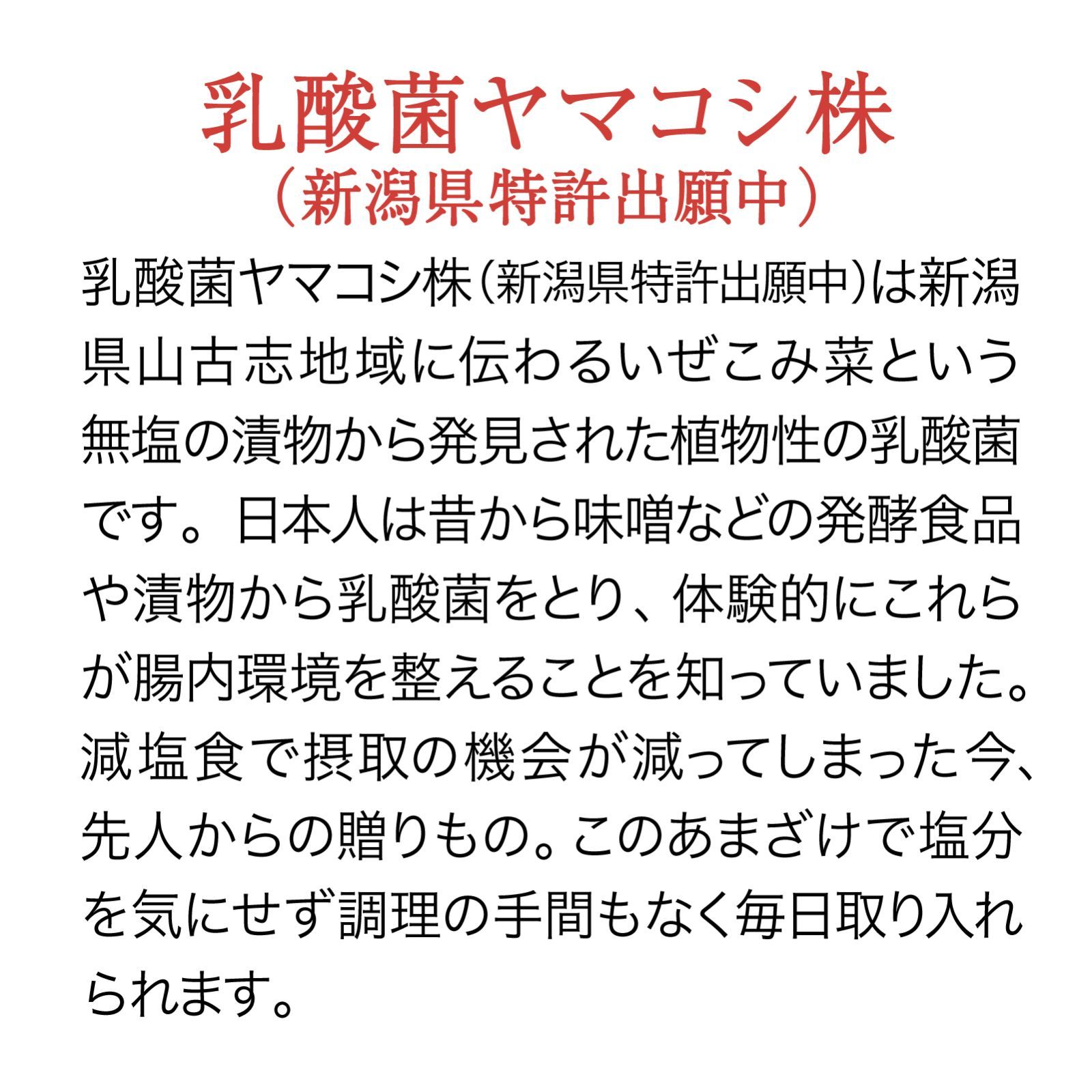 麹菌と乳酸菌の力 発酵あまざけW500mlx3本セット