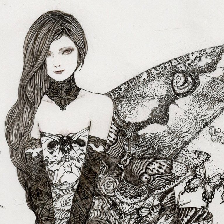 昆虫大系 昆虫大系