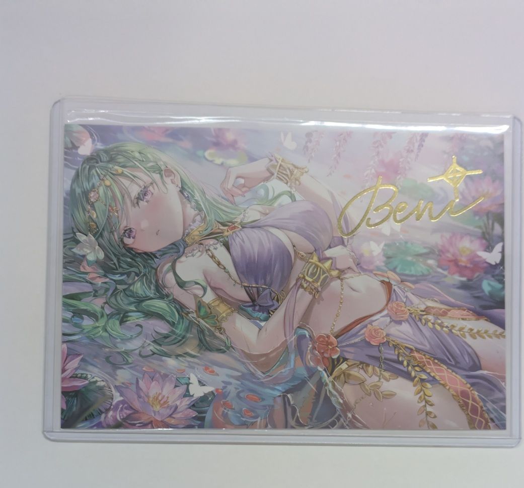 絵師 直筆サイン入り画集クリアファイル 画集 ポストカード タペストリーなど 絵師 直筆サイン入り画集クリアファイル 画集 ポストカード