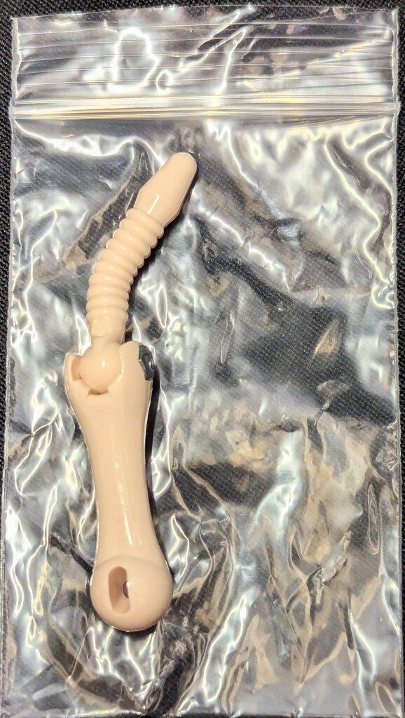 S胸 セミホワイト肌