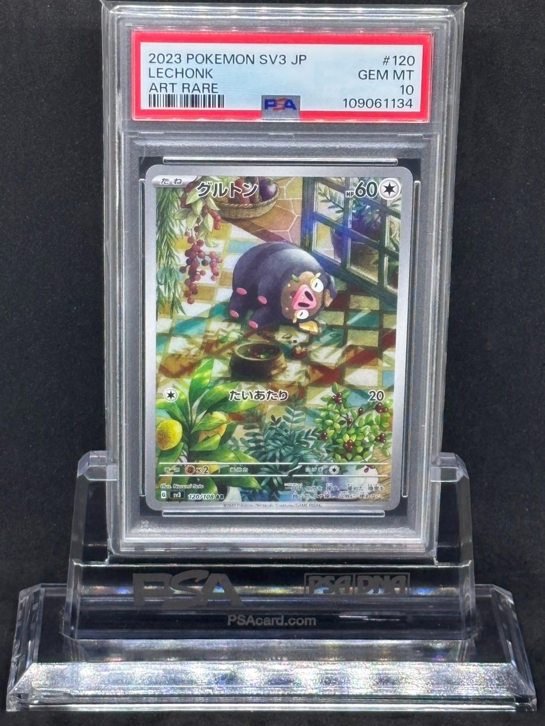 ポケモンカード【PSA10】グルトン AR SV3 黒炎の支配者 120/108 ポケカ】グルトン【AR】SV3 120/108ポケモンカードゲーム