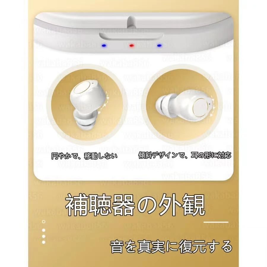 左右兼用 デジタル集音器
