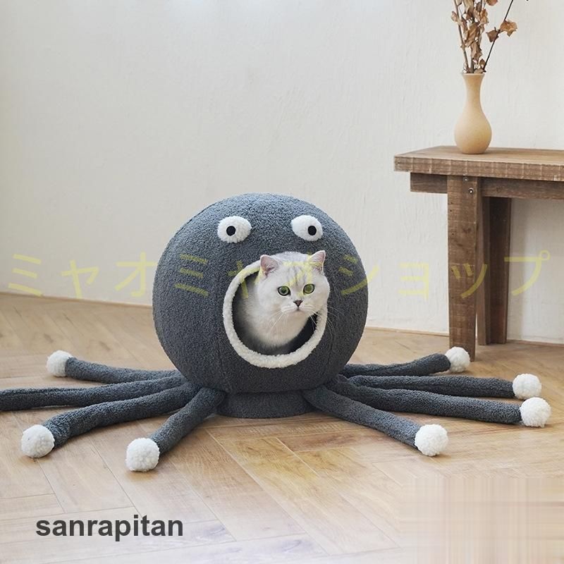 ワンピース にふぉるめーしょんセット(一部条件あり9月30日まで) にふ