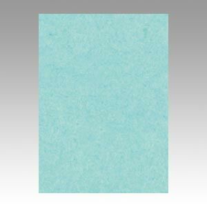（まとめ） 色画用紙 文運堂 ニューカラーＲ 薄茶色 10-110 4902681811103 1本【×8セット】