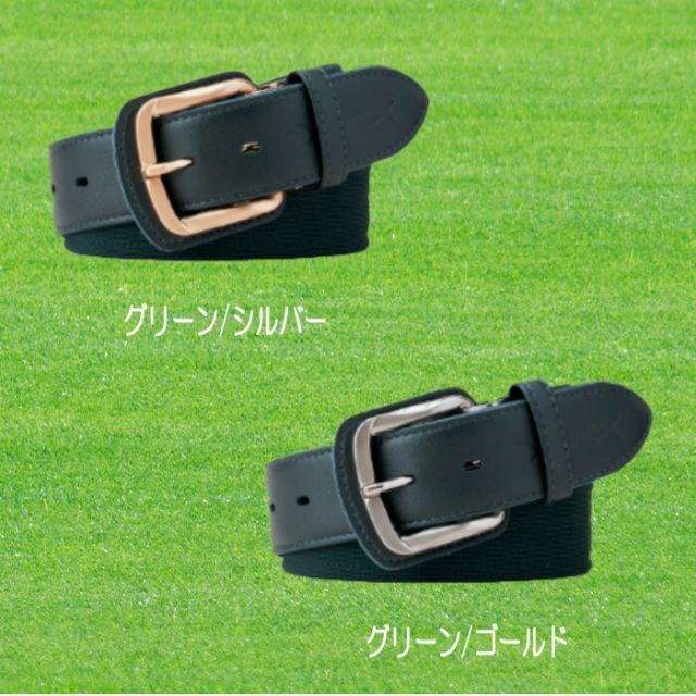 体幹 プロ野球選手推薦