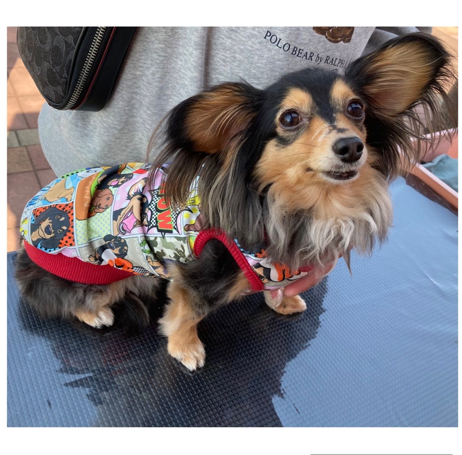 アメコミ風ダックスタンク・ハンドメイド犬服 犬の洋服 ワンコ服 ダックスフント ミニチュアダックス