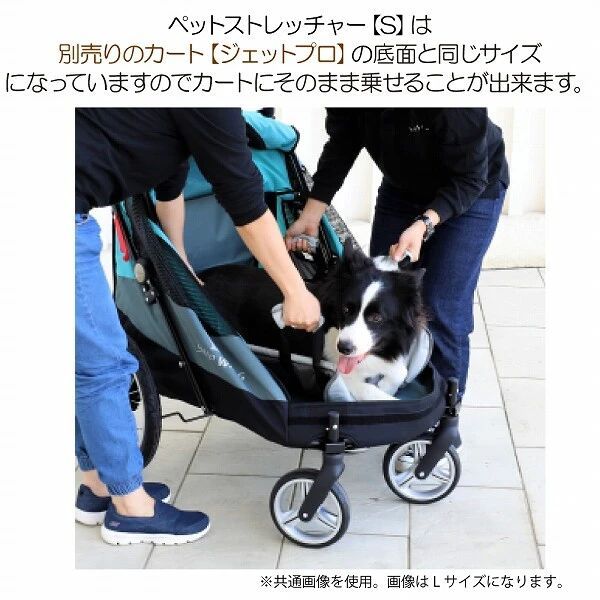 大型犬