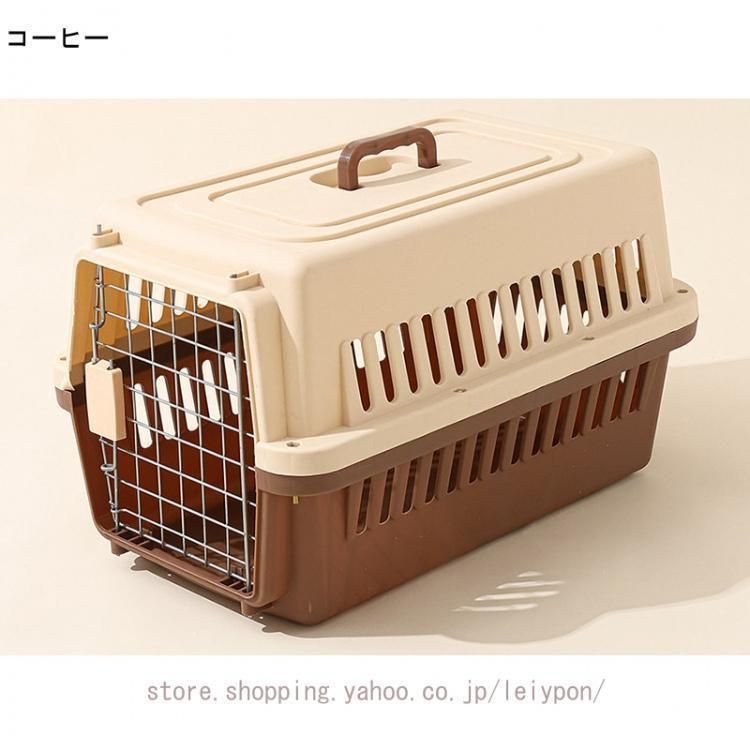成猫