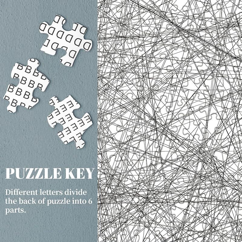 難解パズル　縞模様完成品　1000ピース 特価商品】大人向けハードパズル 1000ピース 不可能な難しいライン