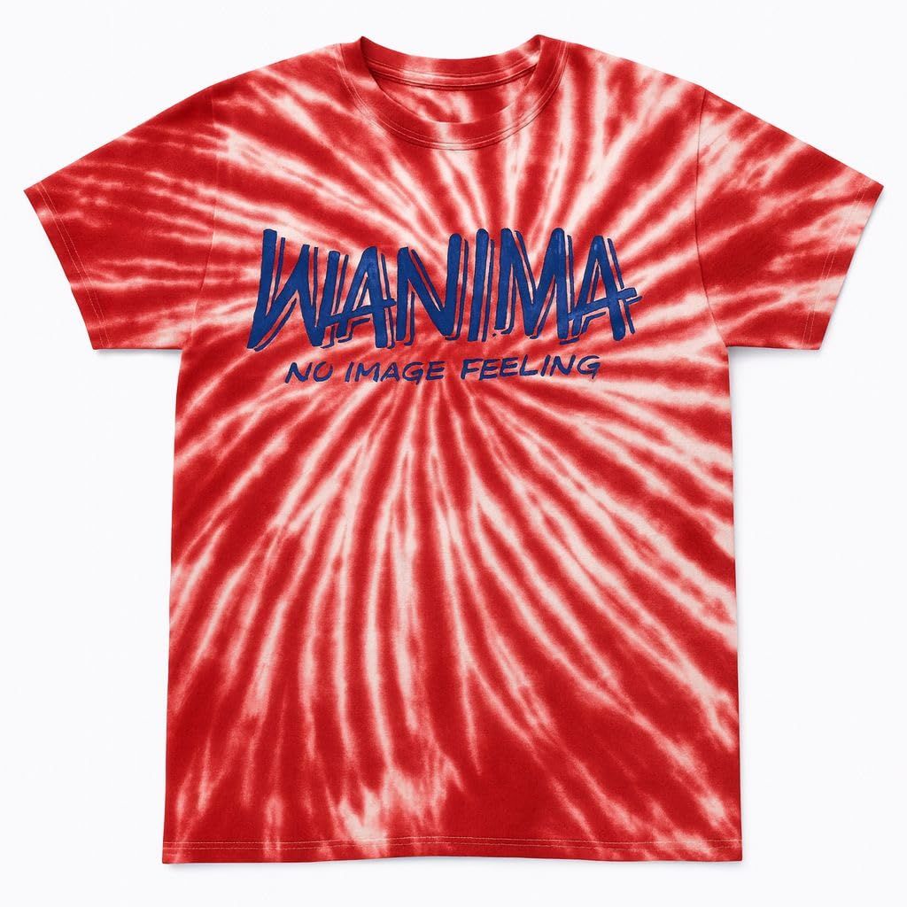 WANIMA タイダイ　ライブTシャツ 美術品・アンティーク・コレクション WANIMA ワニマ CF TIEDYE TOUR