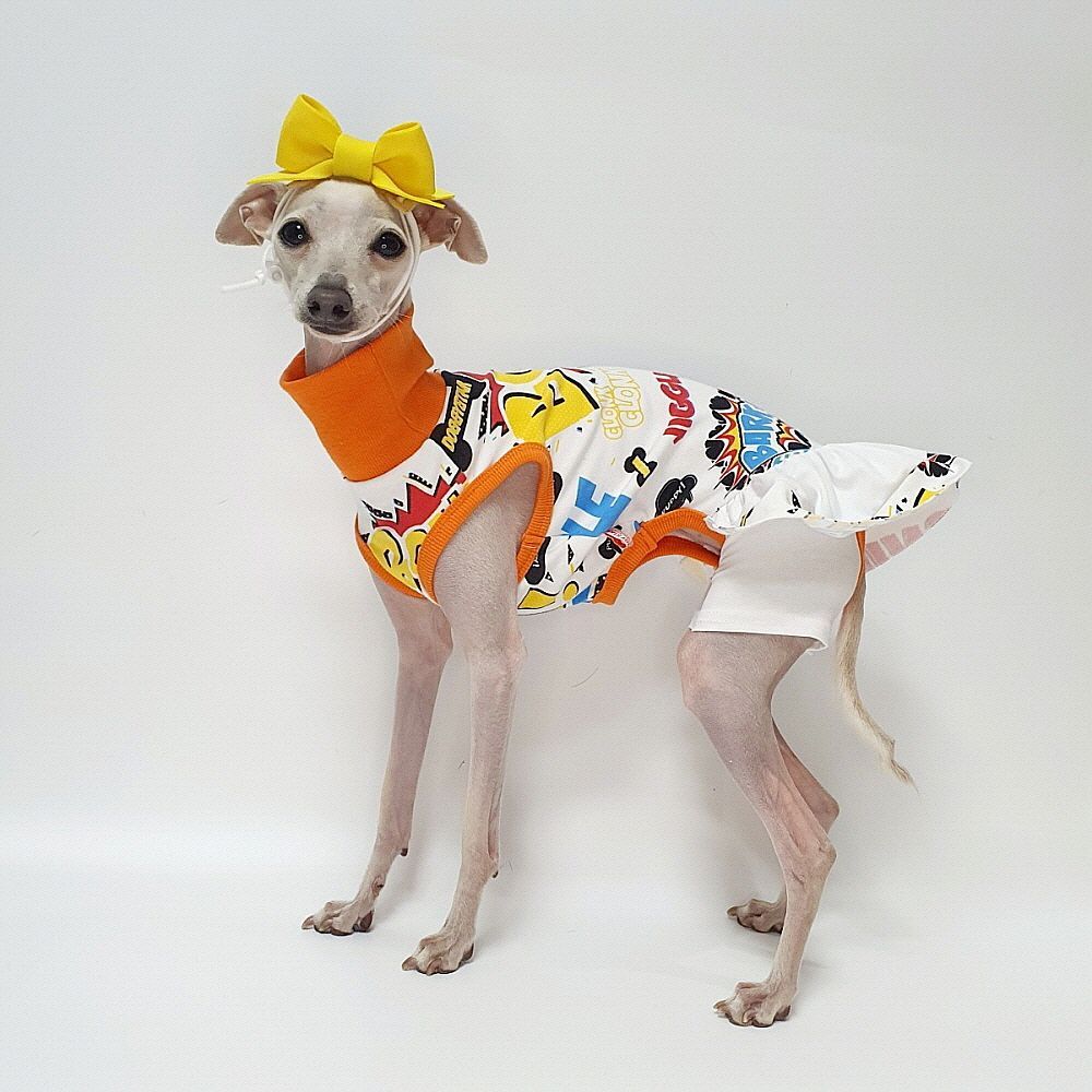 犬服　イタグレ服 楽天市場】送料無料 イタリアングレーハウンド 服 イタグレ