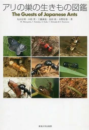 【】単行本(実用) ≪動物学≫ アリの巣の生きもの図鑑