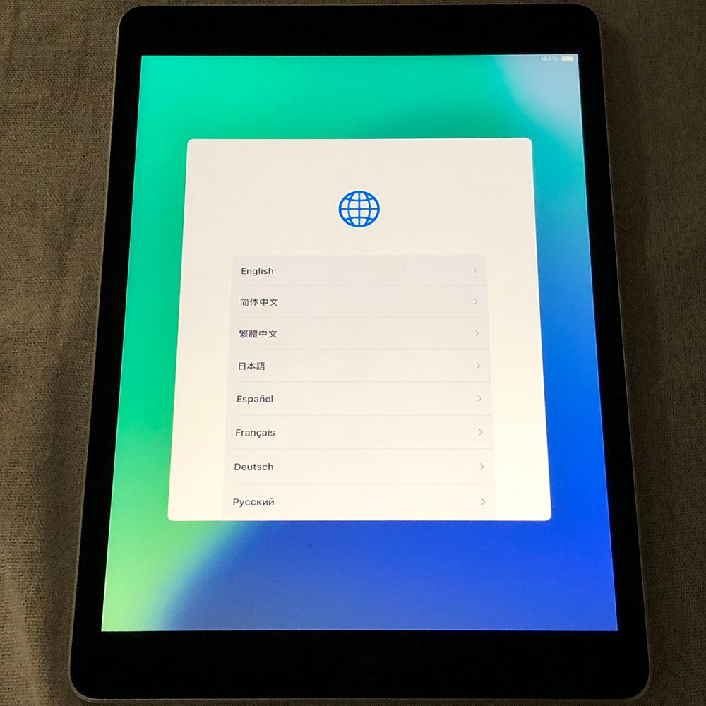 iPad第9世代256GBセルラーCellularアップルケアappleCare iPad Apple +