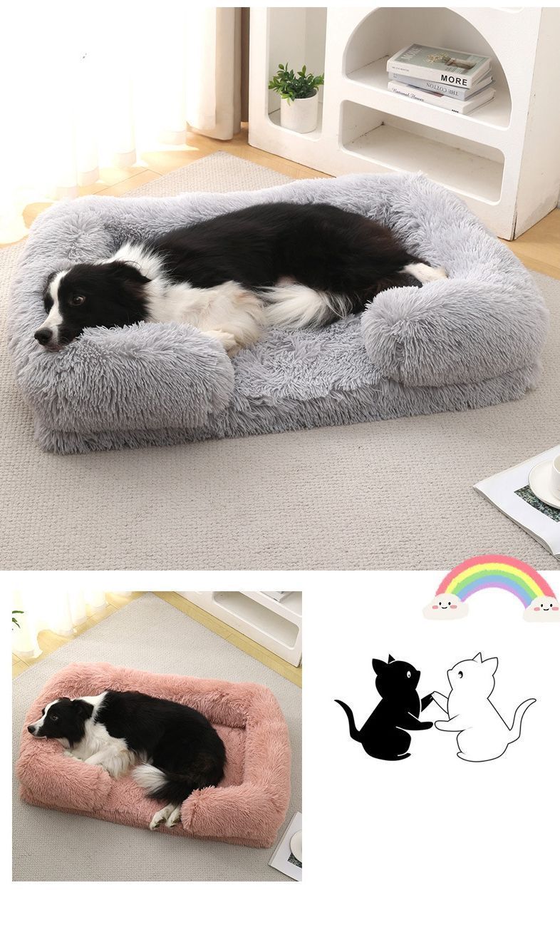 中型犬 かわいい