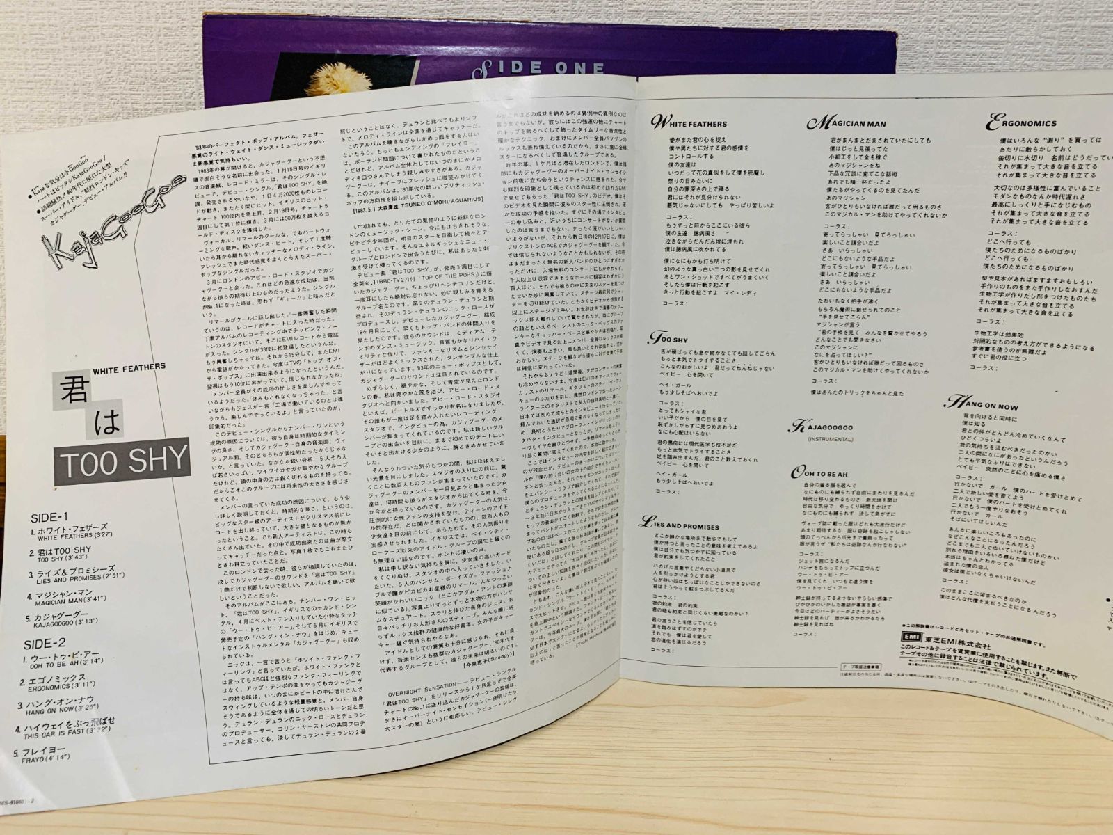 LP Kajagoogoo WHITE FEATHERS / カジャグーグー / 国内盤 ライナー 