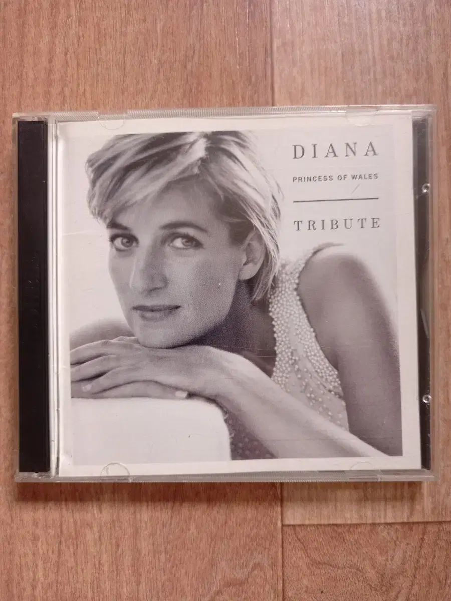 絶版】フォーチュンソフト ラクラク風水・家相マスター法