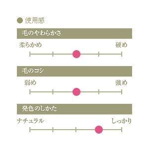 粗光峰 パウダーブラシ R-P 2 レギュラーシリーズ 黒ライン 竹宝堂 メイクブラシ 熊野筆 化粧筆