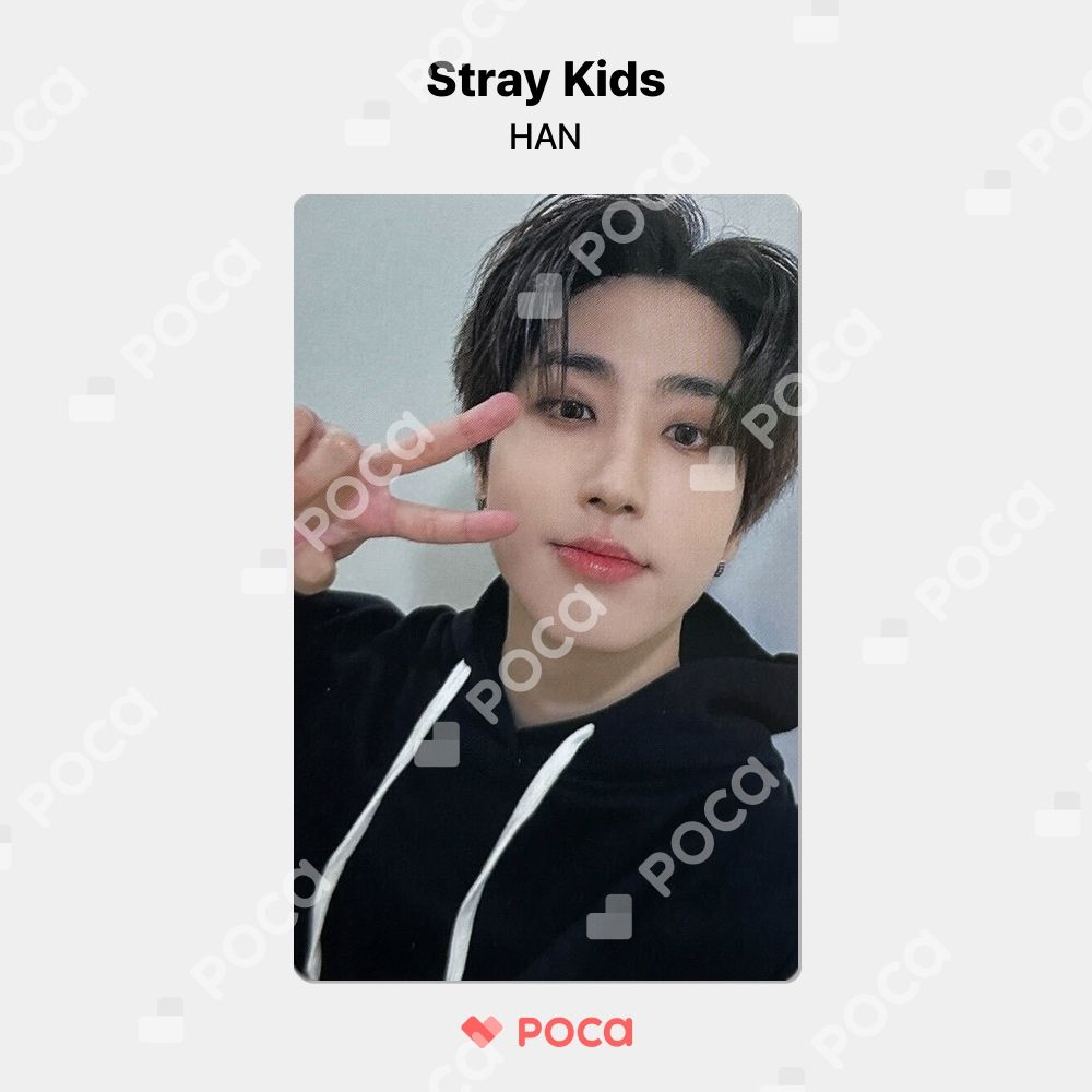 straykids 限定トレカ ラキドロ ハン straykids スキズ ハン トレカ 会場限定 店舗特典 ラキドロ