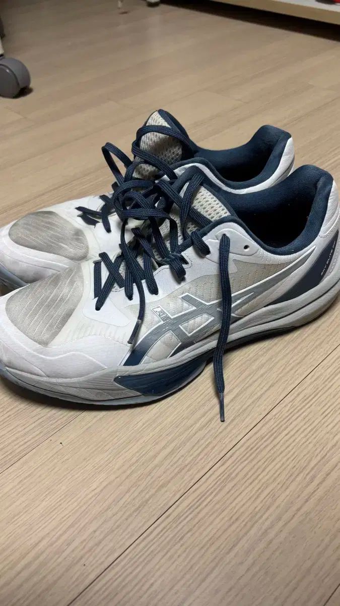 アシックス スカイエリートff 2 280 バレーボールシューズ バドミントンシューズ 体大入試シューズ