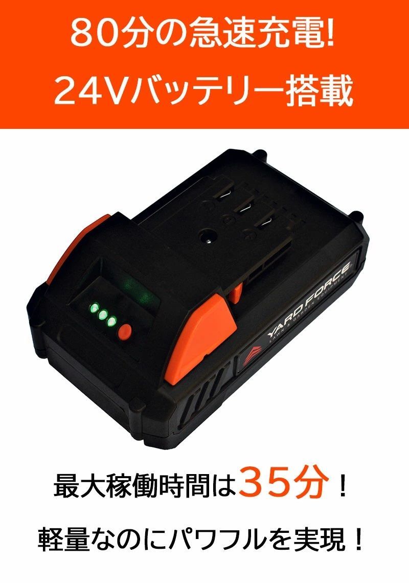 太い枝 正規品