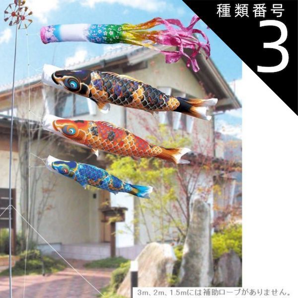 種類3：2m 徳永 鯉のぼり 庭園用 ガーデンセット （杭打込式）ポール